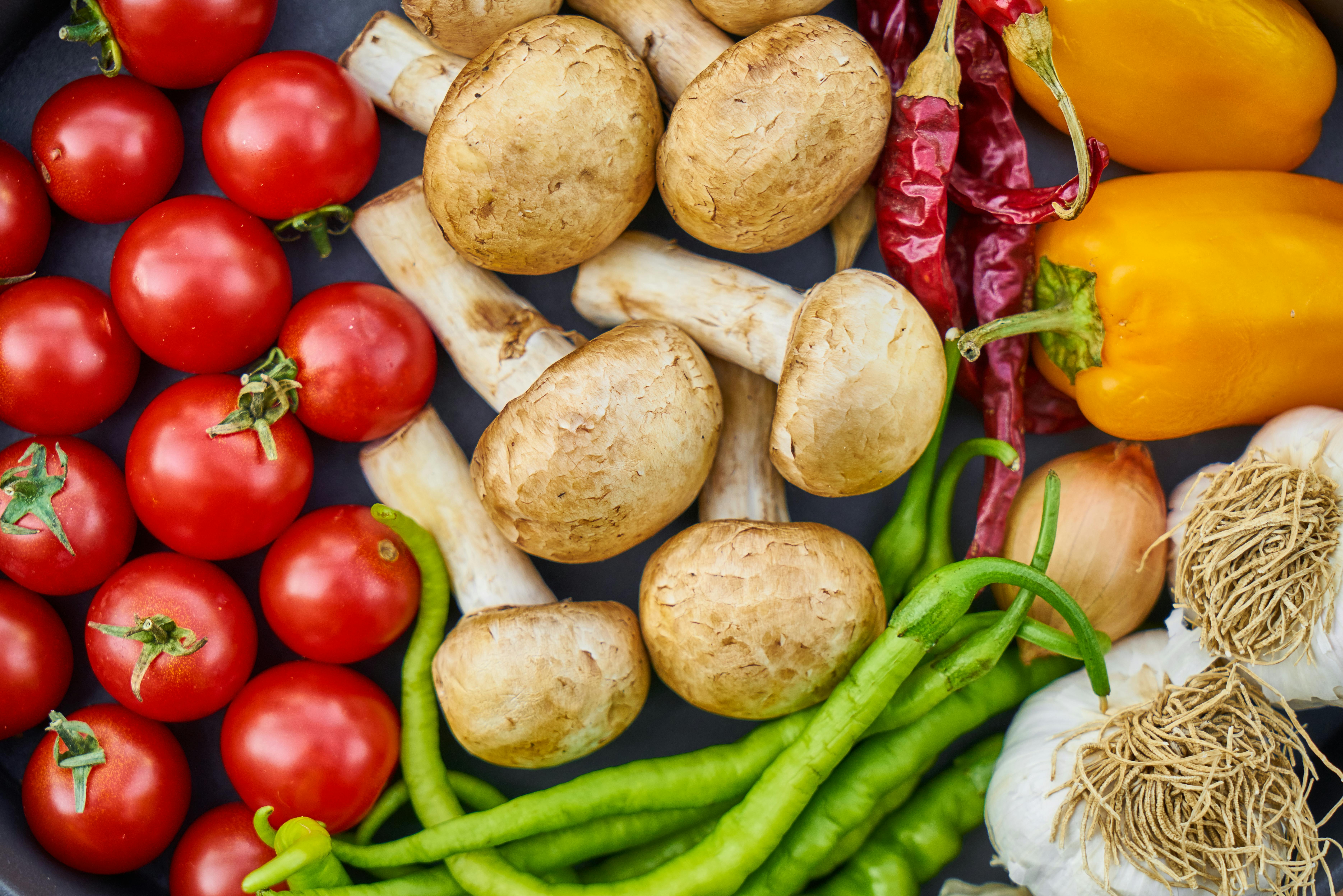 Effective Ways to Optimize Leptin Diet for Better Results in 2025