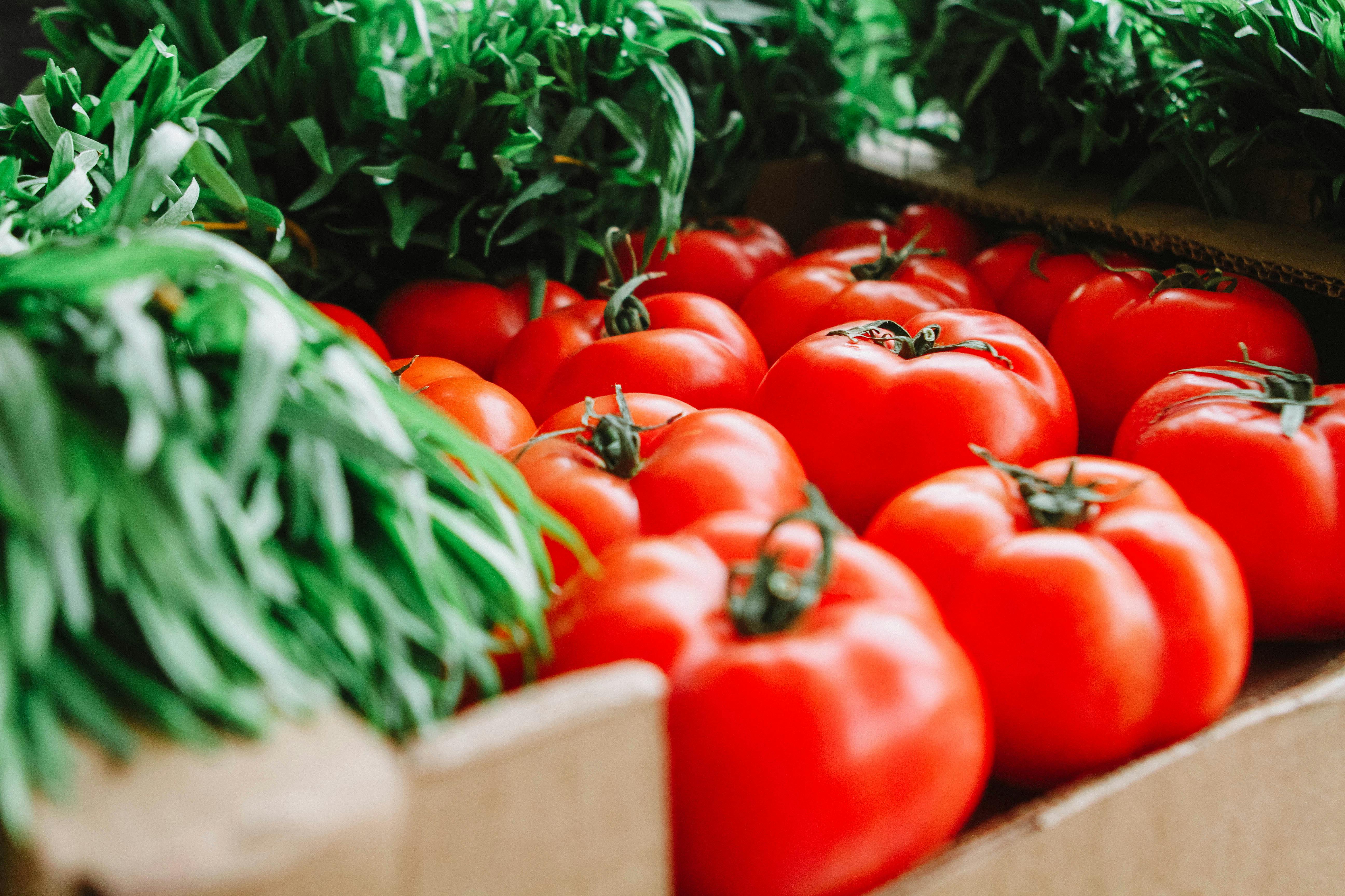 Best 7 Soft Diet Foods for Dental Health in 2025