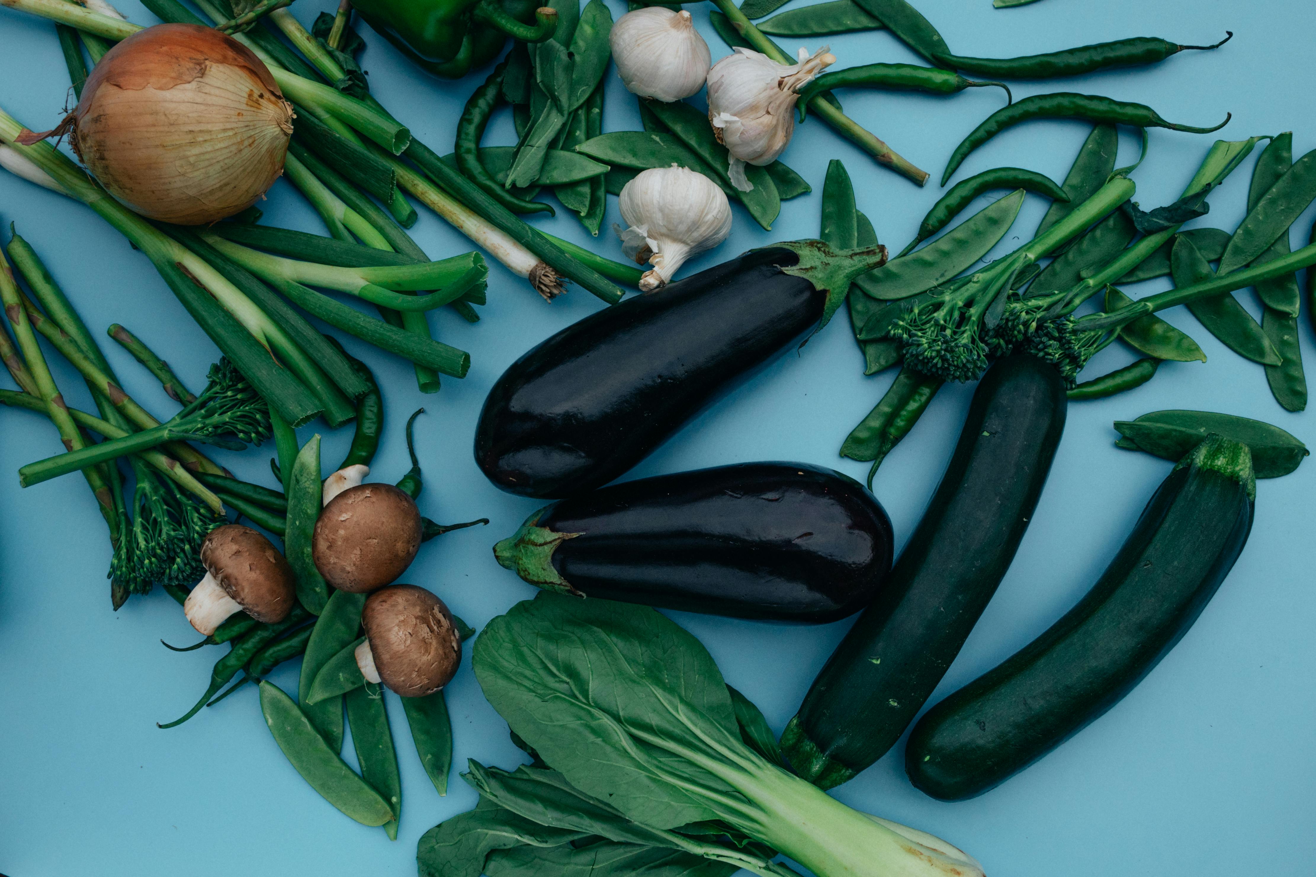Top 5 Effective Characters in Santa Clarita Diet to Enjoy in 2025!