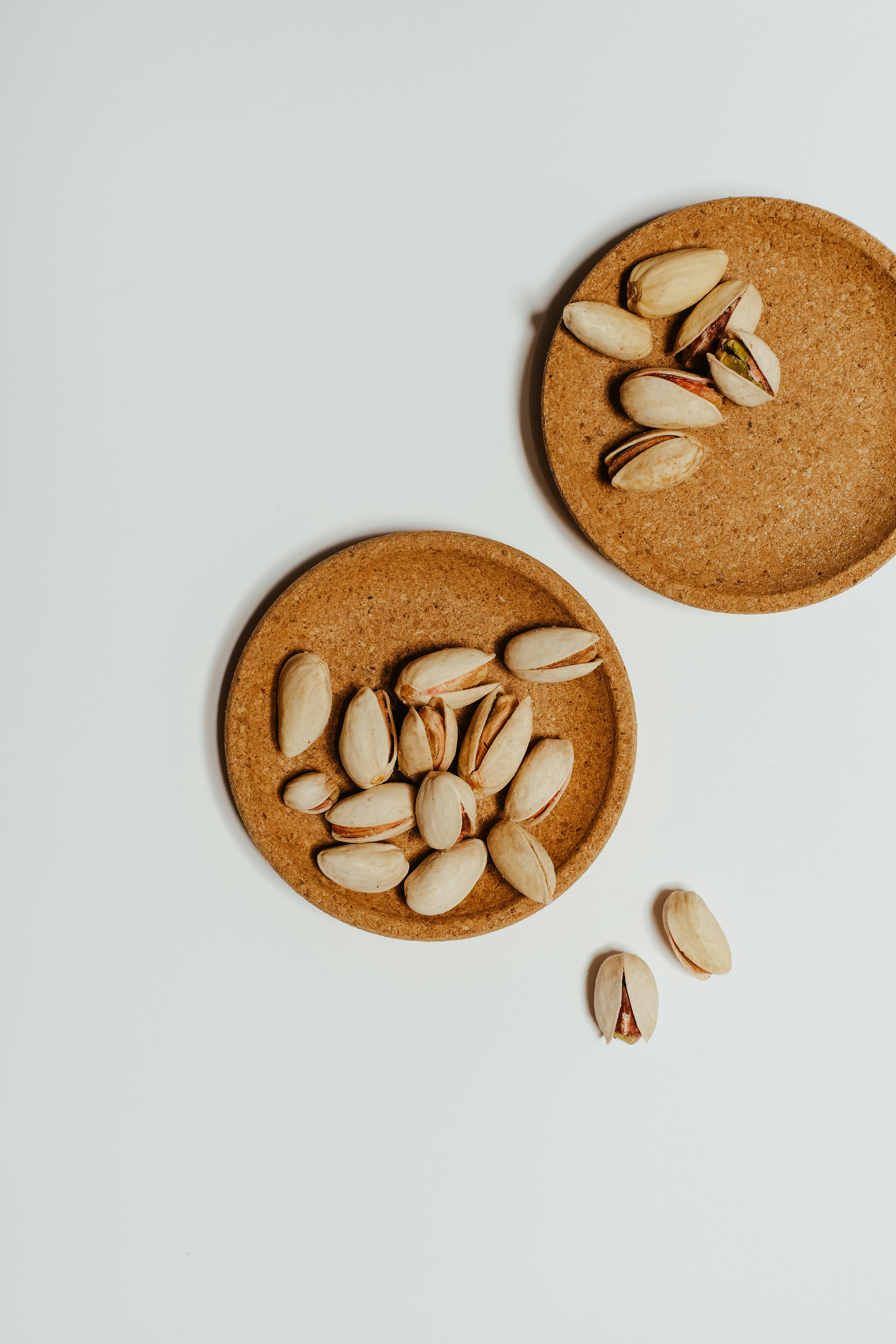Healthy Raw Cat Food
