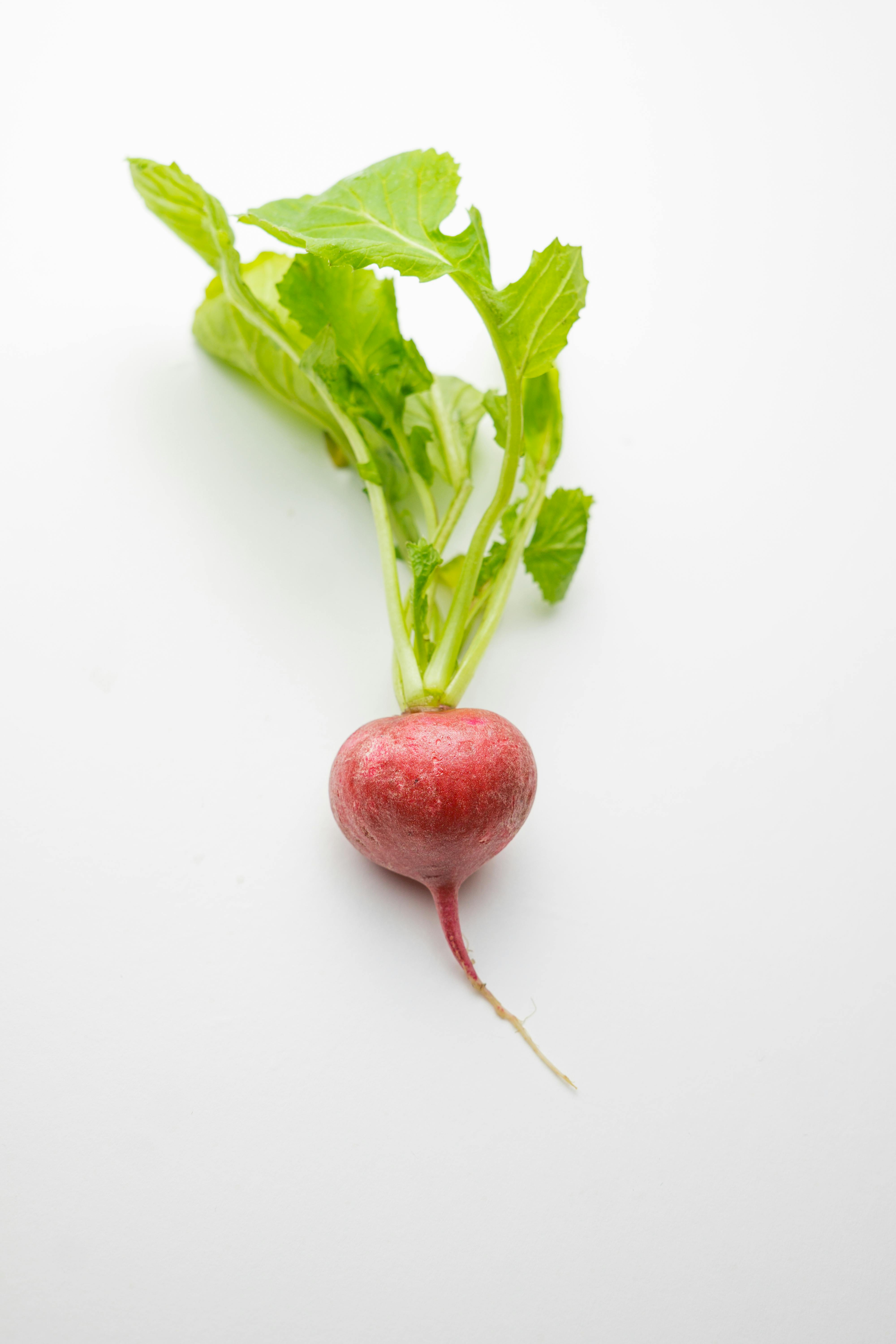Effective 10-Day Detox Diet to Improve Your Health in 2025