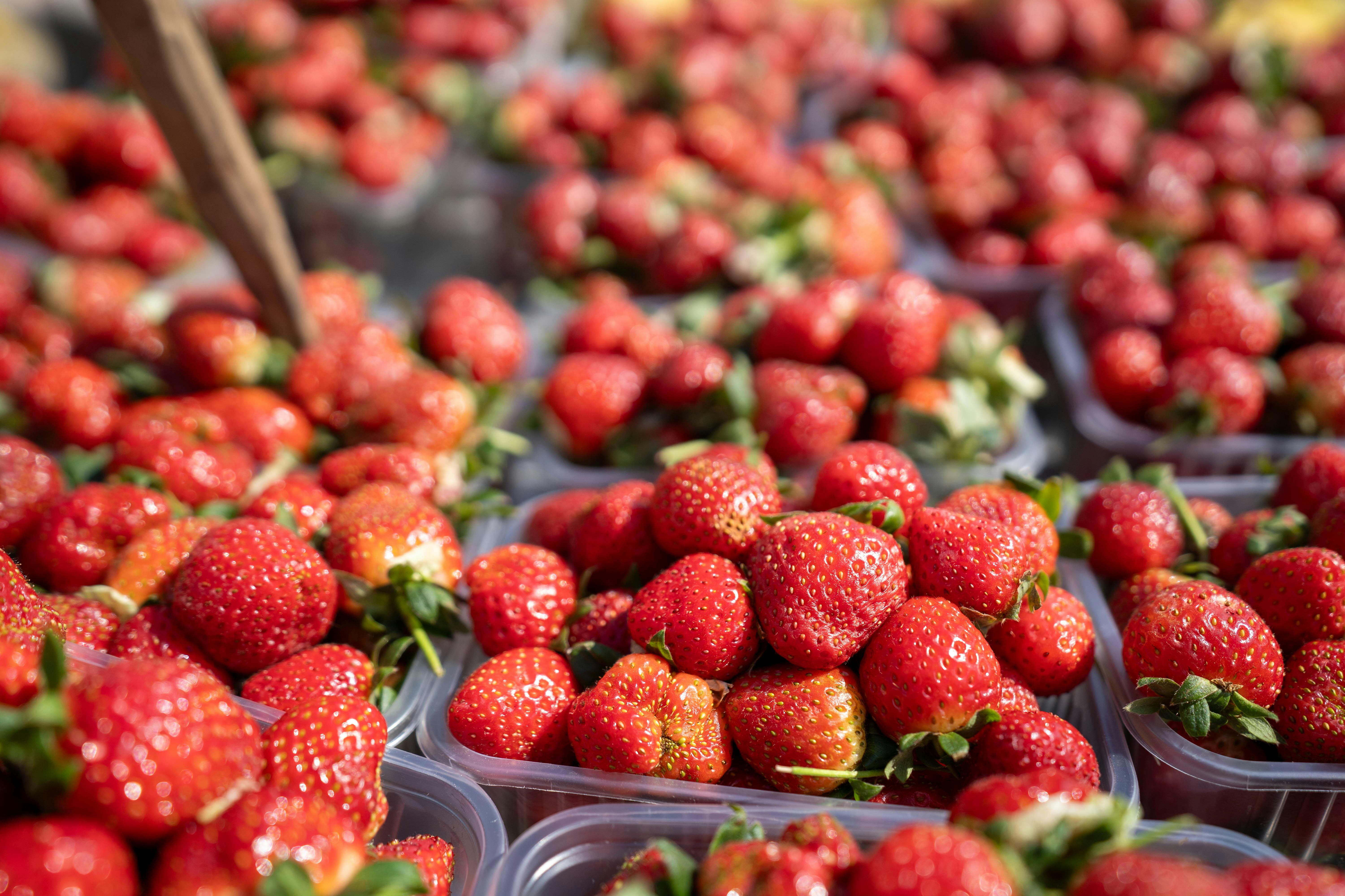 Smart Ways to Decide on Diet vs. Zero Sugar Choices for 2025