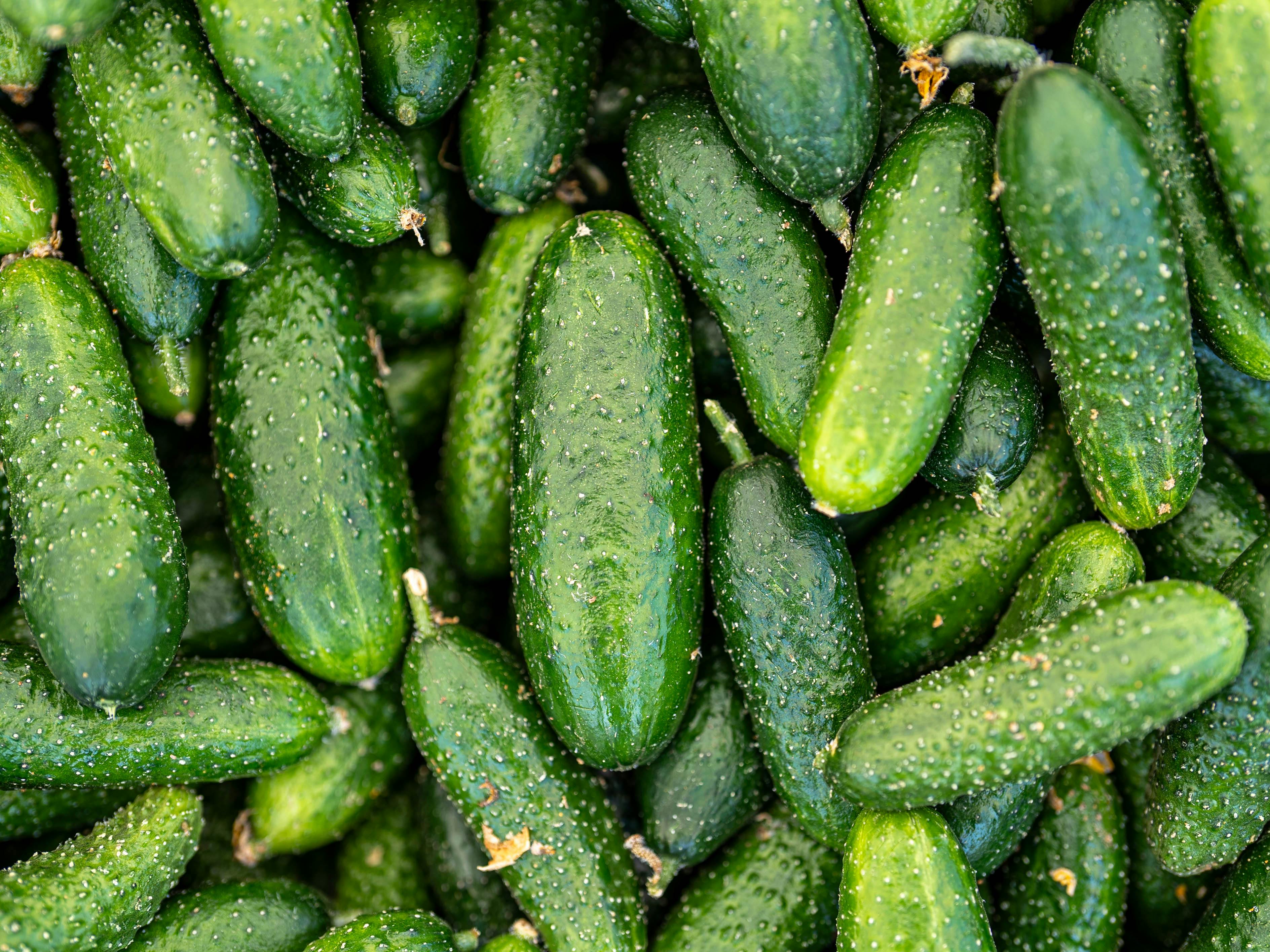Smart Ways to Optimize Your Gerd Diet Plan in 2025!