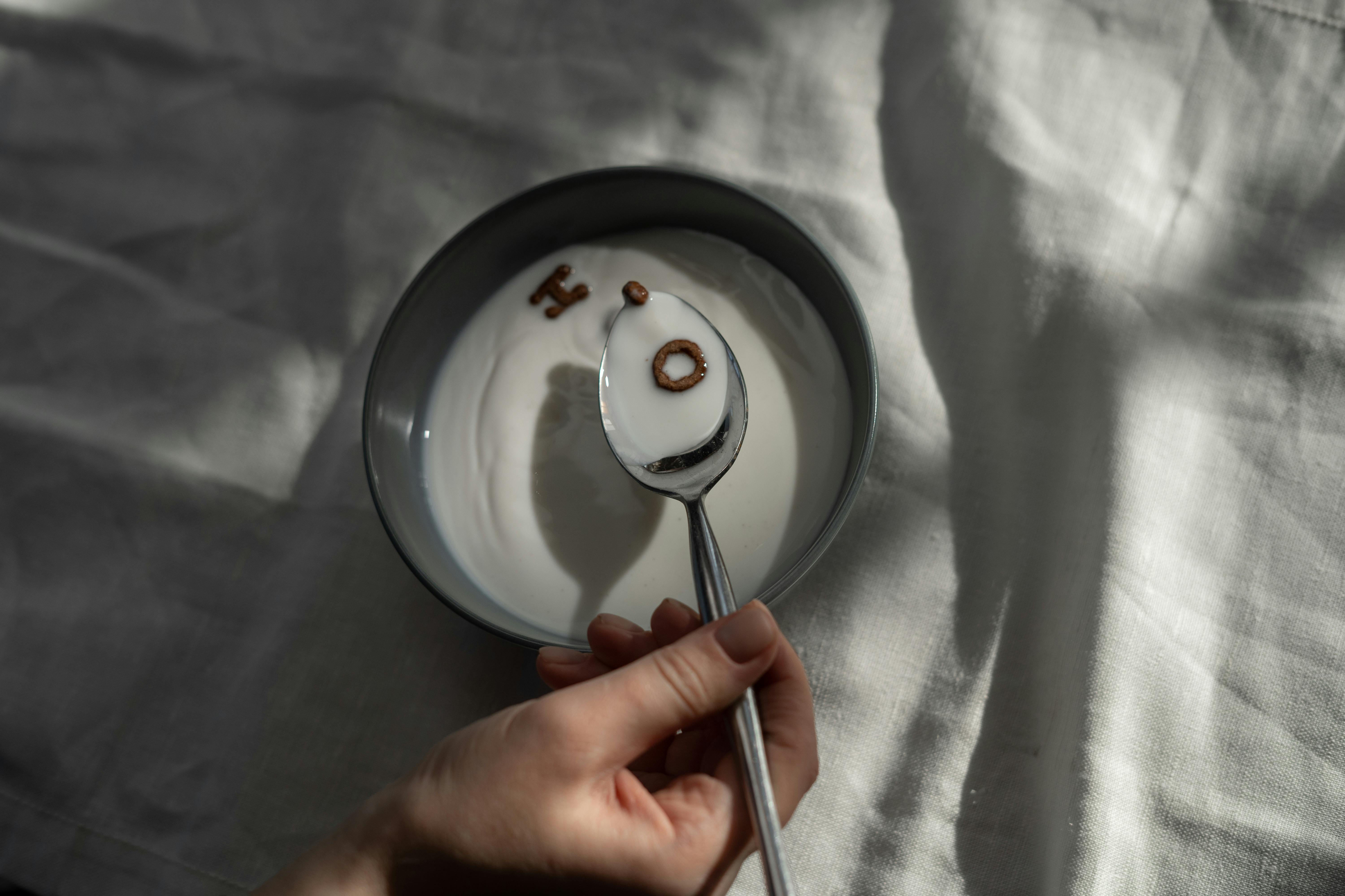 Best homemade diet for dogs with kidney disease