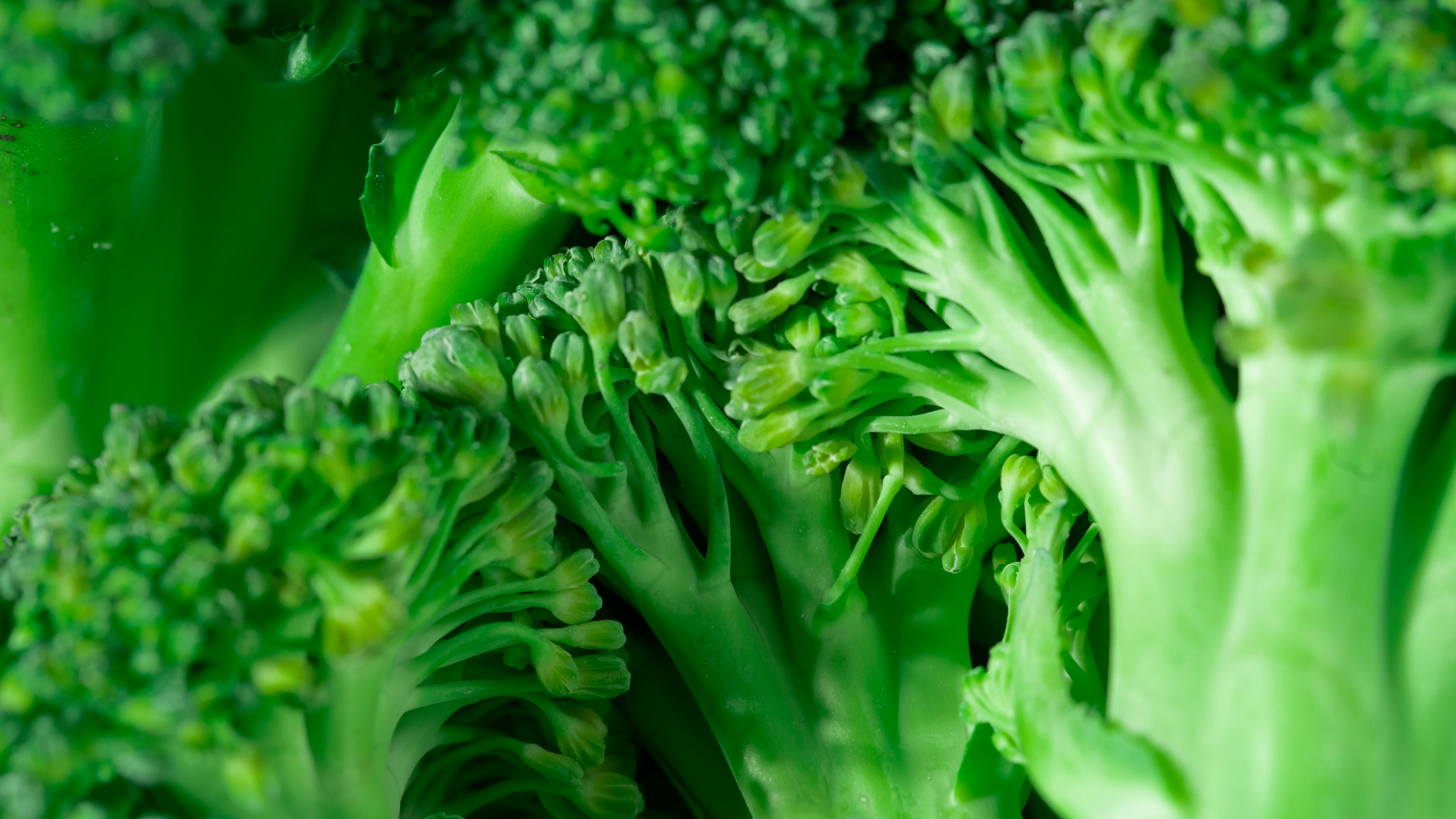 Effective Guide to Managing Your Warfarin Diet in 2025