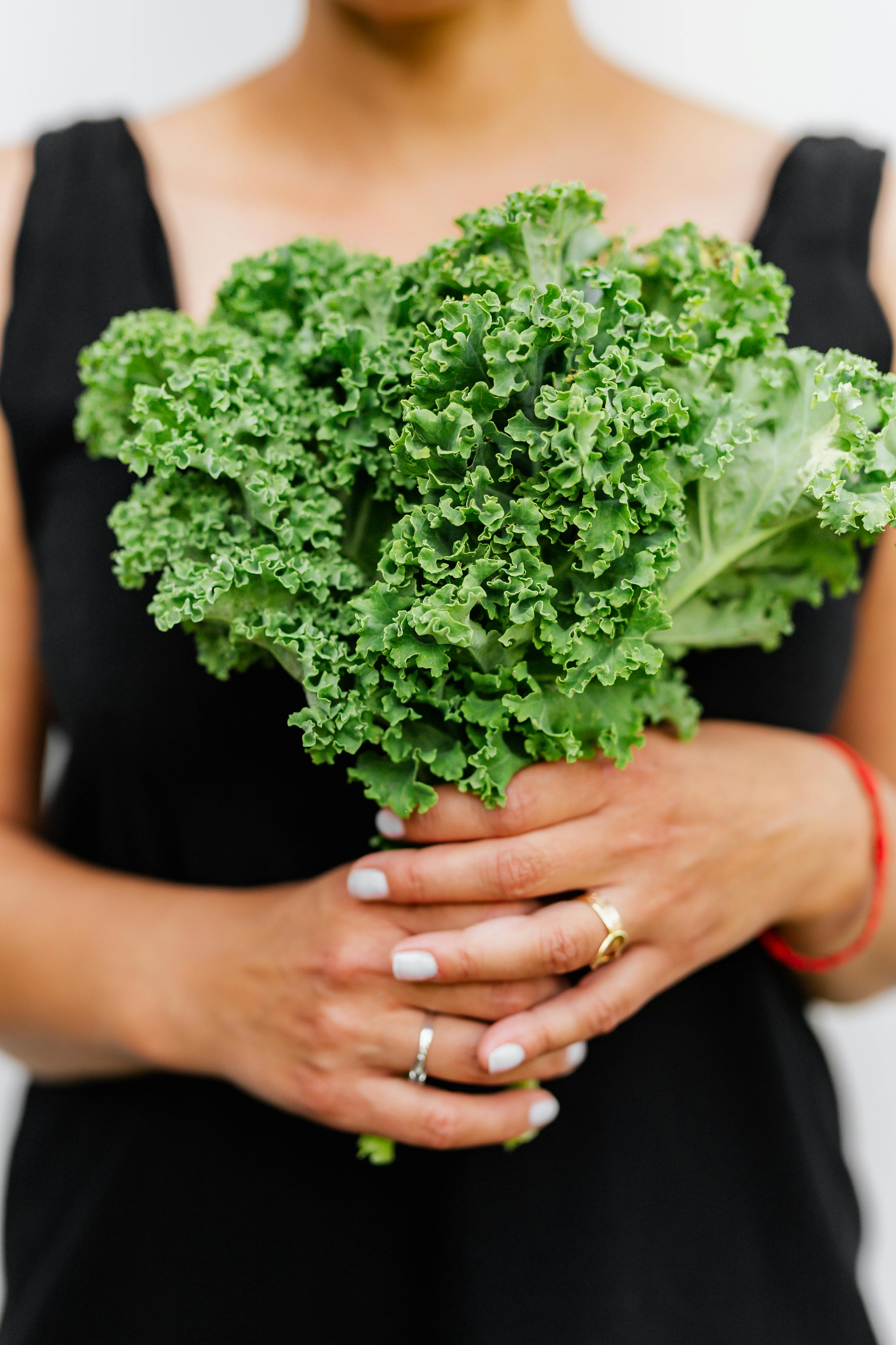 Semaglutide Diet Plan PDF Image