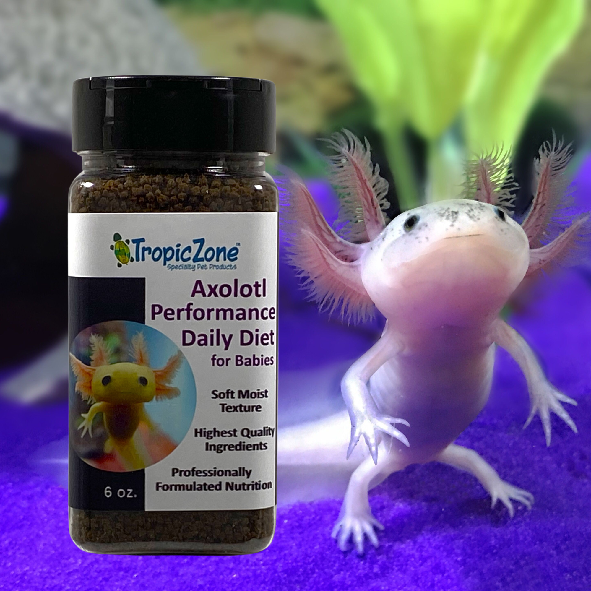 Axolotl Diet Ingredients