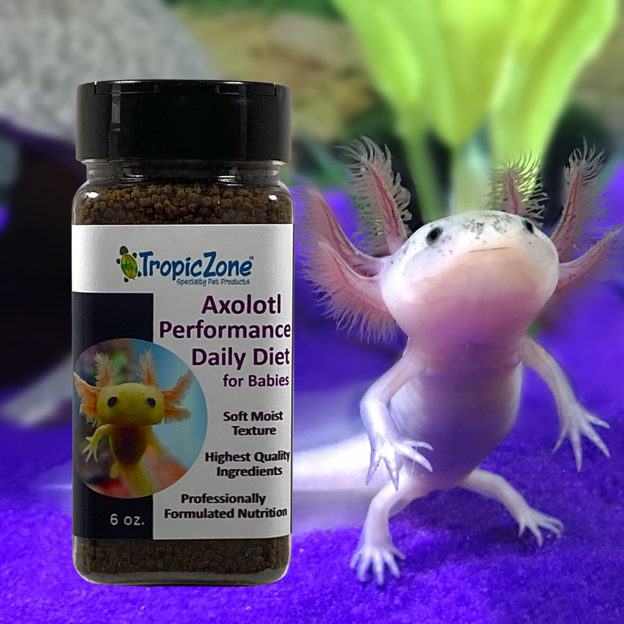 Feeding Axolotls Different Foods