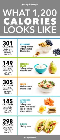 Healthy meals for 1000 calorie diet